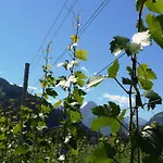 Gielerhof Zell am Ziller
