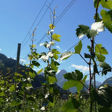 Gielerhof Zell am Ziller