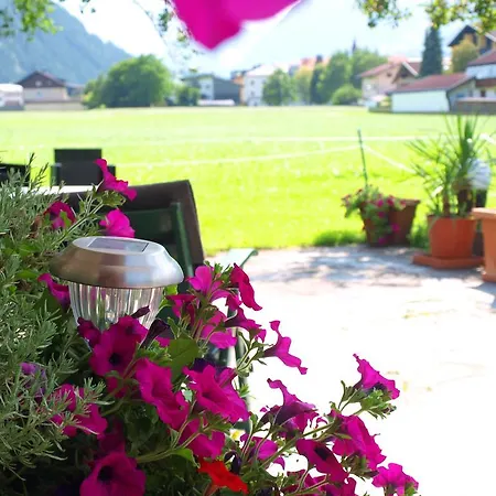 Gielerhof アパート ツェル・アム・ツィラー